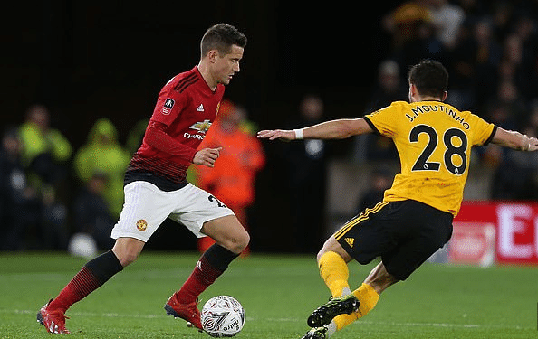 3年的伊瓜 3年的伊瓜